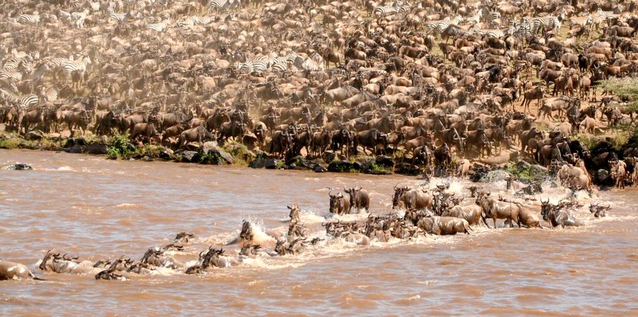 mara8.jpg