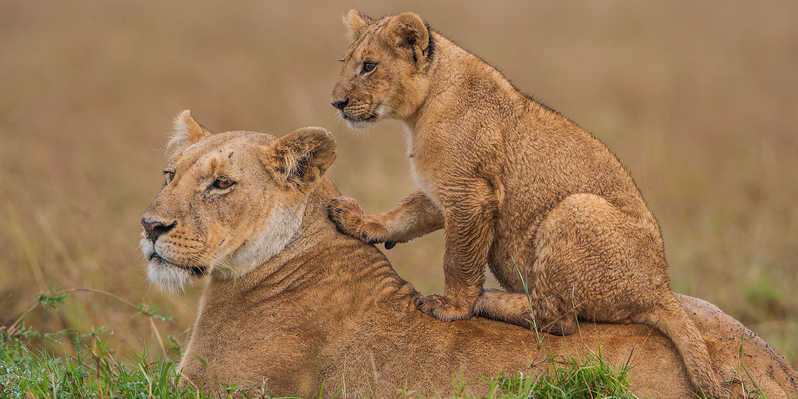 mara9.jpg