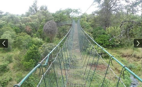 ngare3.jpg