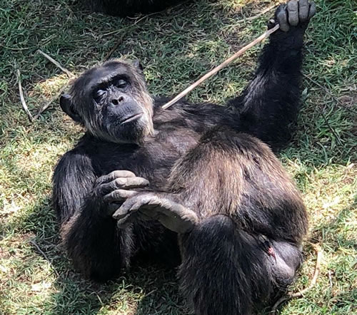 olpejeta2.jpg